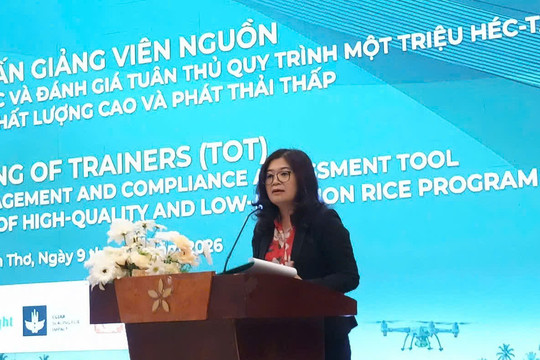 Cần Thơ đào tạo nguồn nhân lực lúa chất lượng cao phát thải thấp