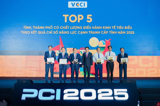 Từ 'chấm điểm' chính quyền đến câu hỏi doanh nghiệp Việt đã lớn lên đến đâu