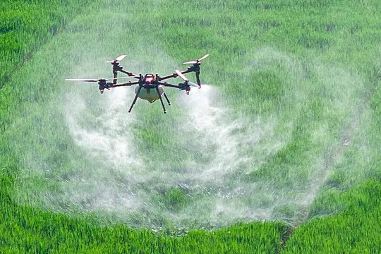 Dùng drone phun thuốc trừ sâu có phải con dao hai lưỡi?