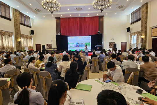 An Giang tập huấn PNM thúc đẩy nhân rộng Đề án 1 triệu ha lúa
