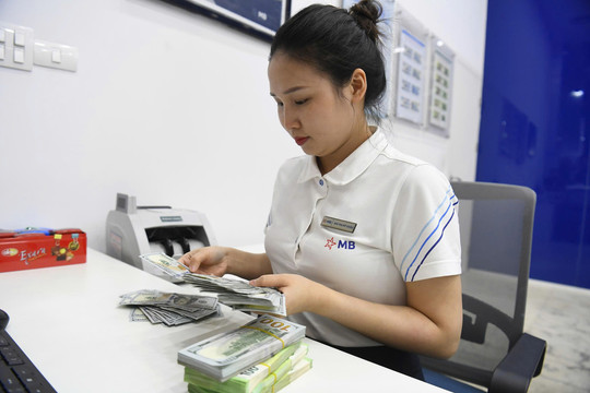Tỷ giá trung tâm liên tiếp lập đỉnh, công ty xuất khẩu ‘méo mặt’