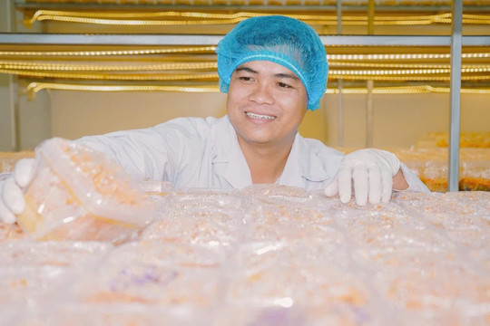 Từ bán nấm thô đến chuỗi sản phẩm OCOP: Cách thạc sĩ 9X đưa đông trùng hạ thảo ra thị trường