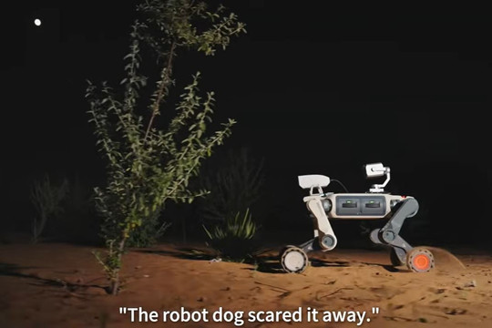 Phát triển robot chó cảnh giới vùng sa mạc