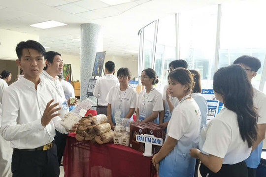 Sinh viên Đồng Tháp đưa AI vào nuôi trồng nấm linh chi