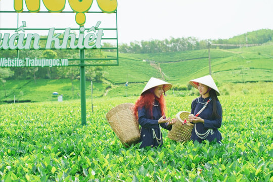 'Điểm đến du lịch nông thôn Việt Nam tốt nhất' 2026: Cơ hội tôn vinh mô hình chuyển đổi số làm du lịch