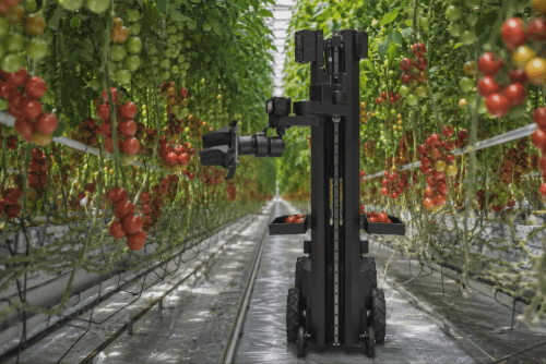 Robot hái nông sản "made in Ai Cập": Có tới 4 cánh tay, hái 160 kg/giờ, chạy 24/24