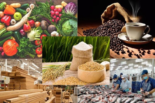 Xuất khẩu nông lâm thủy sản 9 tháng đạt 56,3 tỷ USD, xuất siêu 16,9 tỷ USD