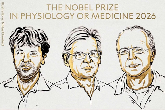 Nobel Y sinh 2026 vinh danh ba nhà khoa học với công trình về quang di truyền