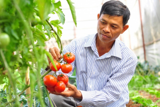 Chỉ 1,2% nông hộ có đủ dữ liệu truy xuất nguồn gốc: Hợp tác xã đang 'mắc kẹt' ở đâu trong chuyển đổi số?