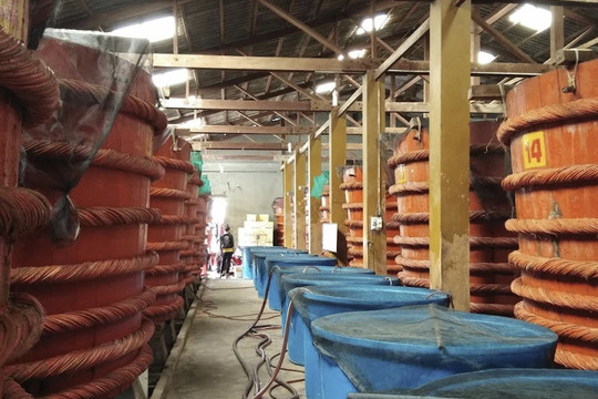 Từ văn hóa đến tài sản trí tuệ: Công nghệ mở rộng đường tiếp cận cho vật phẩm, hình ảnh, thương hiệu...