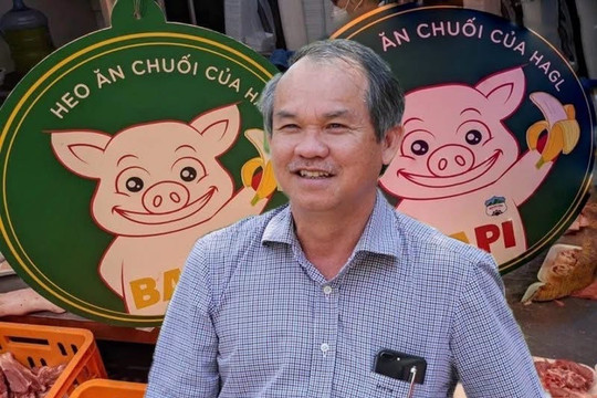 Heo ‘thép’ của đại gia Hoà Phát và heo ăn chuối của bầu Đức: Ai thắng?