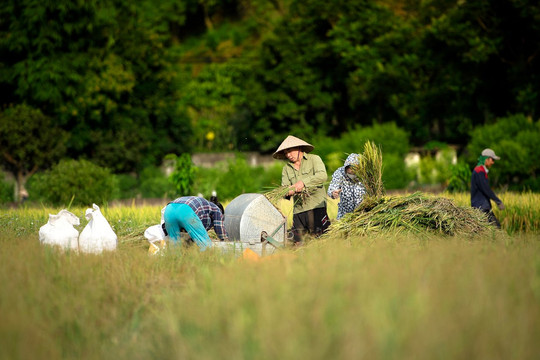Các công nghệ giúp bảo đảm an ninh lương thực