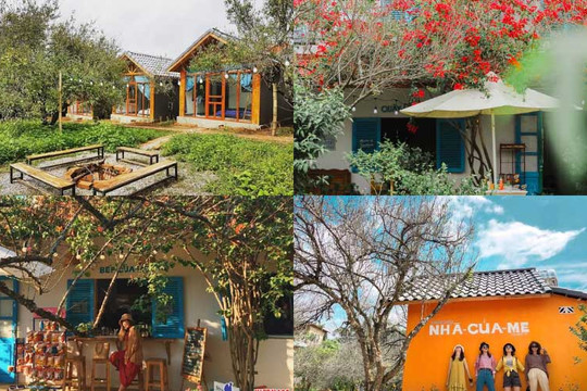 Có cảnh đẹp, homestay chưa chắc có khách: Du lịch nông thôn ‘lên đời’ nhờ công nghệ