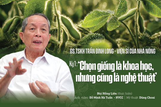 GS.TSKH Trần Đình Long – Viện sĩ của nhà nông Kỳ 1: ‘Chọn giống là khoa học, nhưng cũng là nghệ thuật’