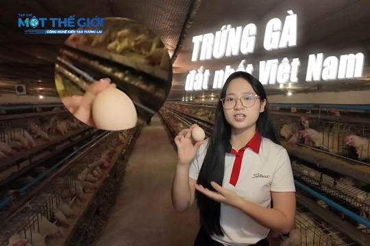 Khám phá công nghệ tạo ra quả trứng gà ' premium ' có lượng cholesterol chỉ bằng 1/3 trứng thông thường