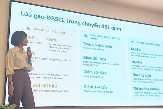 Nông dân ĐBSCL có thêm cơ hội canh tác thông minh giảm phát thải