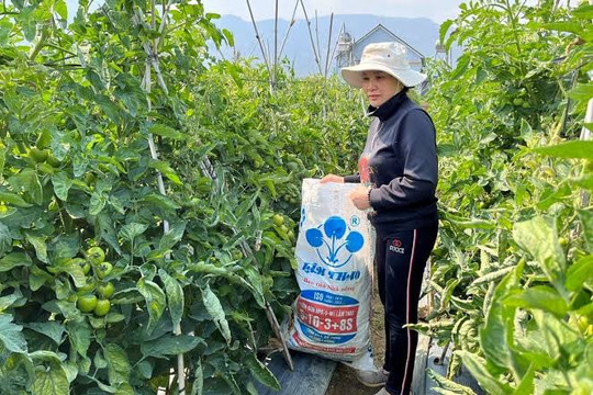 Phân bón có thể ‘xanh’ bằng cách nào?