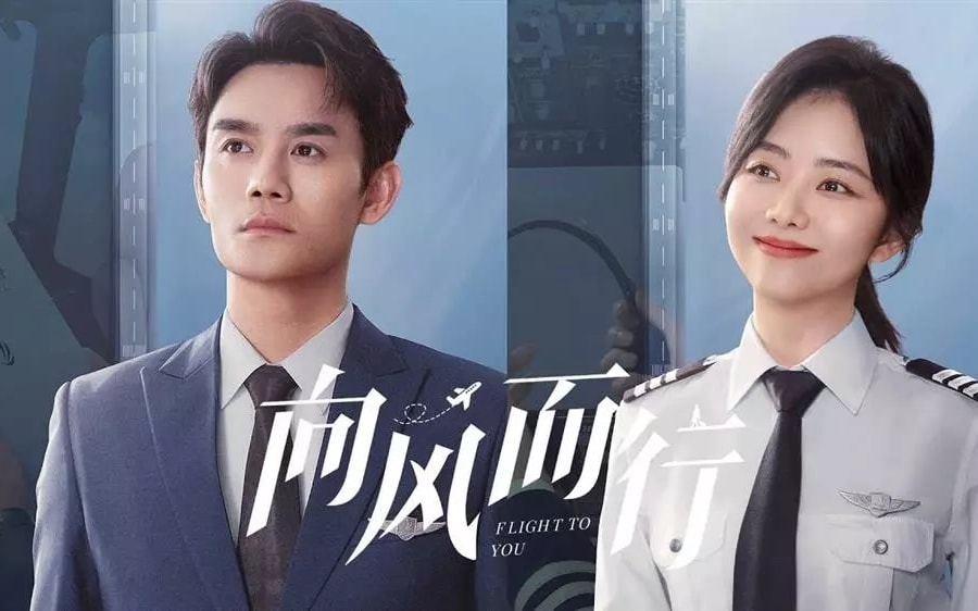 Cục Điện ảnh yêu cầu gỡ bỏ phim 'Hướng gió mà đi' trên Netflix và FPT
