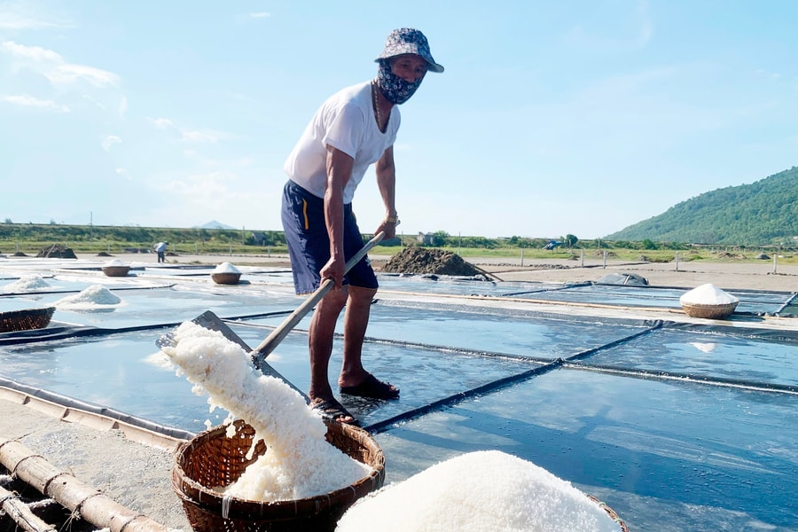 Diêm dân phấn khởi vì ruộng muối trải bạt cho hiệu quả kinh tế cao