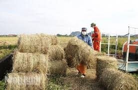 Bài 1: Xử lý rơm rạ ở ĐBSCL đang đi theo hướng khoa học
