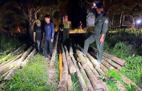 Kiên Giang: Bắt nhóm người khai thác gỗ nằm trong sách đỏ