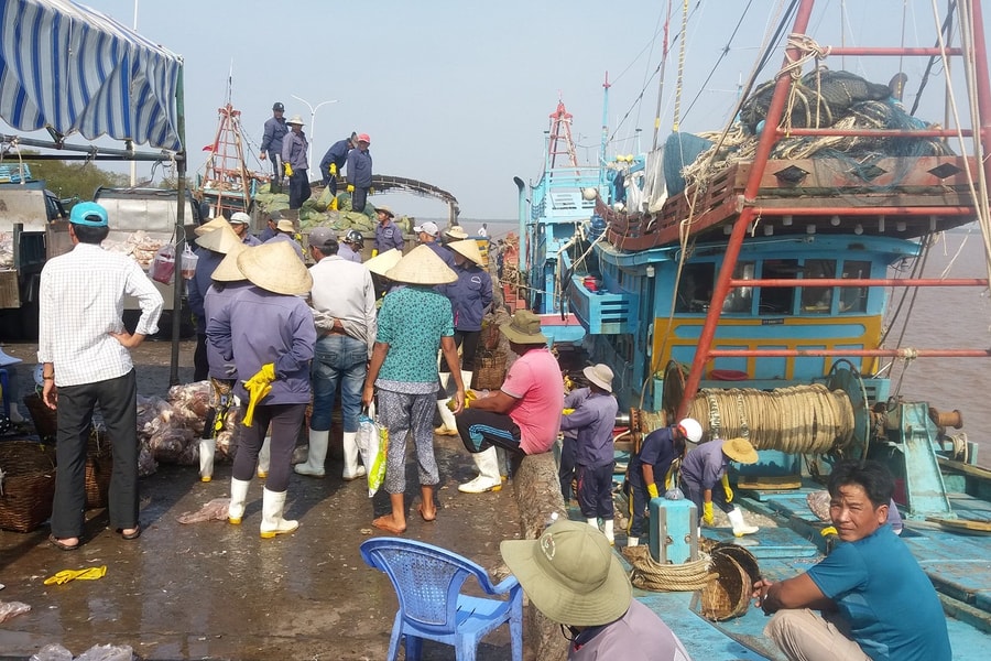 Ngư dân tỉnh Bến Tre “kêu trời” vì thiết bị giám sát hành trình chất lượng có vấn đề