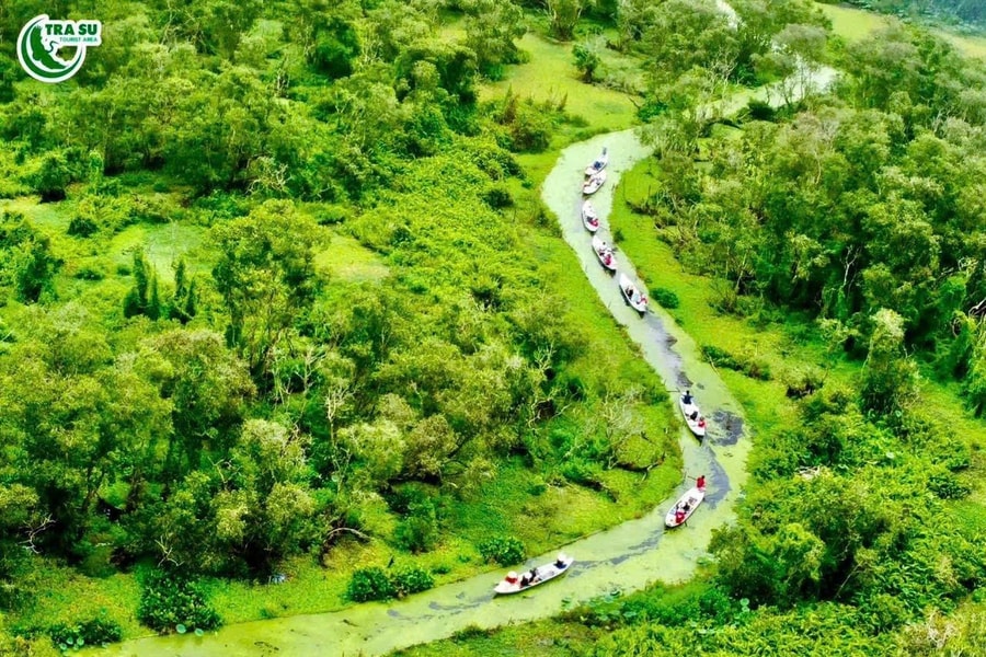 Có một Trà Sư thật lạ trong mắt ai