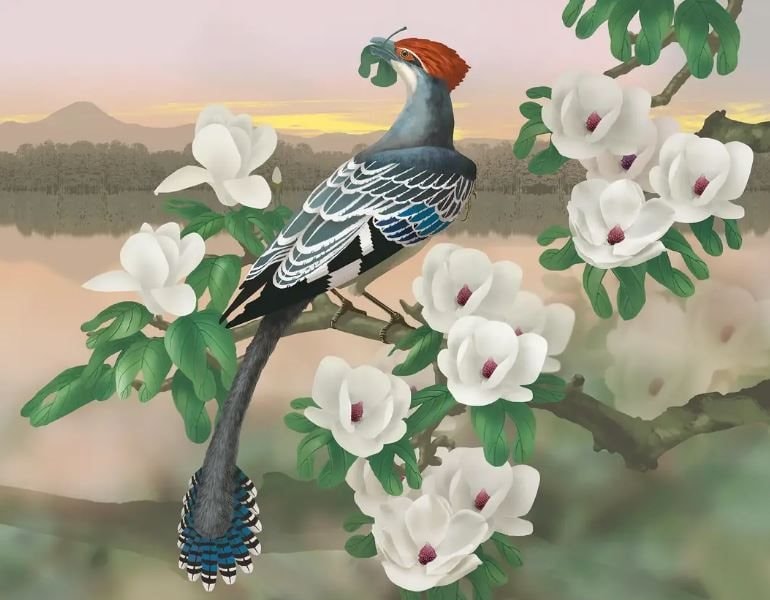 Phát hiện thú vị về loài chim trong thời kỳ đầu tiến hóa từ khủng long