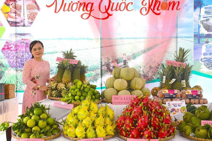 Tiềm năng và cơ hội đầu tư vào Đồng Tháp Mười