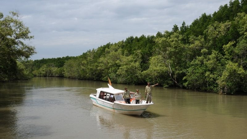 Đề cử rừng phòng hộ Cần Giờ thành khu Ramsar