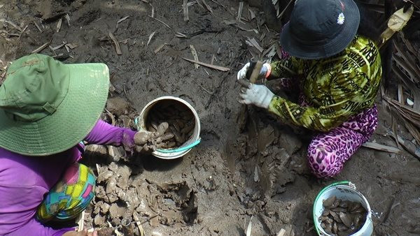 Săn chem chép ở miền Tây