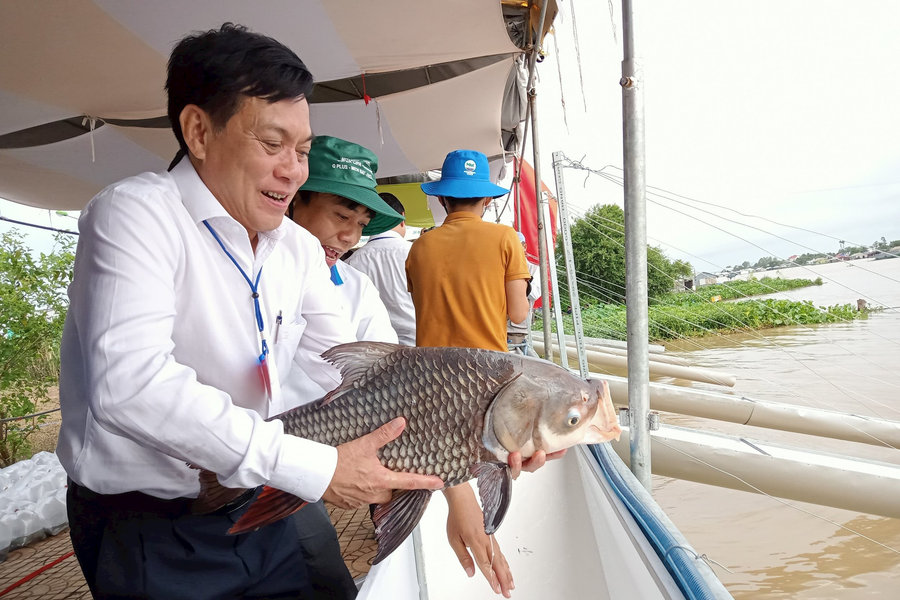 Thả hơn 1 triệu con cá giống xuống sông Hậu 