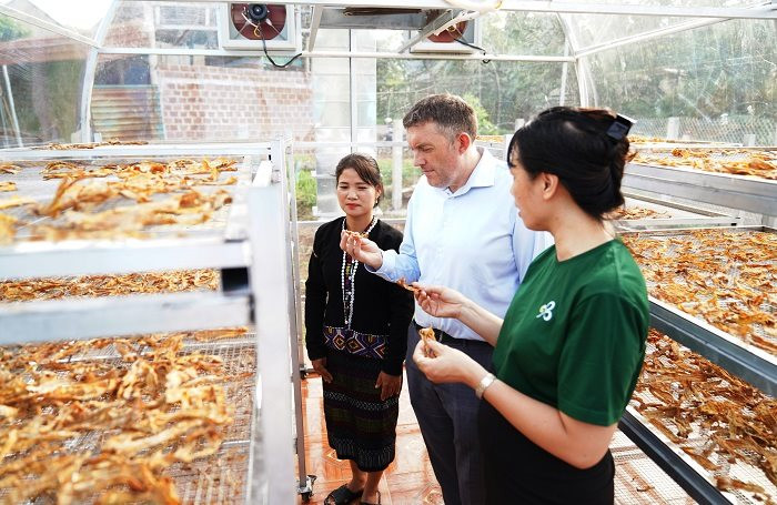 Phụ nữ Vân Kiều ‘thử thách’ với mô hình sấy măng trong nhà sấy năng lượng mặt trời