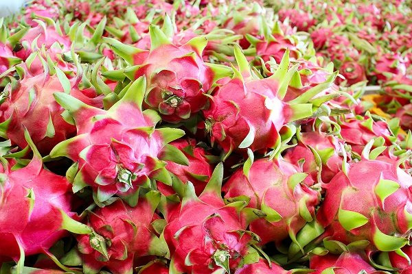 Siêu thị tại Anh dừng bán thanh long Việt Nam