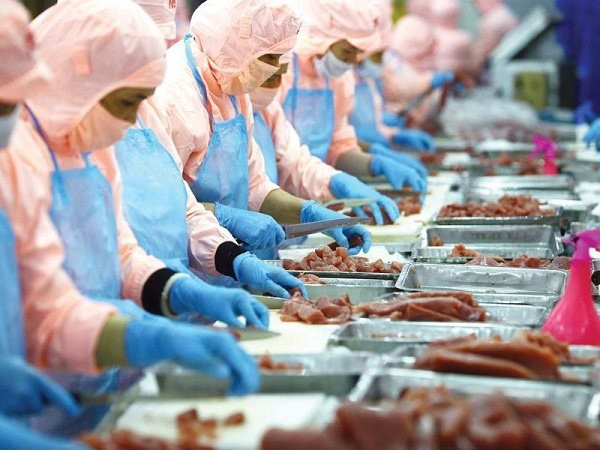 Nhật Bản xả nước thải nhiễm hạt nhân, cơ hội cho thủy sản Việt Nam