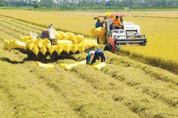 5 thách thức với kinh tế Việt Nam trong 3 tháng tới