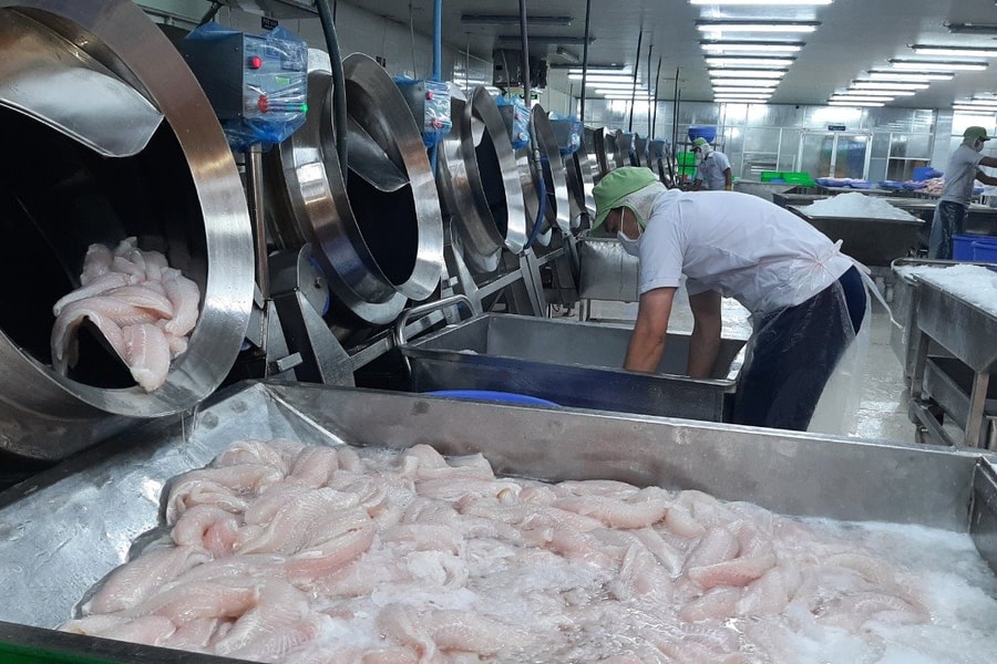 Giải pháp phát triển nuôi trồng thủy sản trong tình hình mới