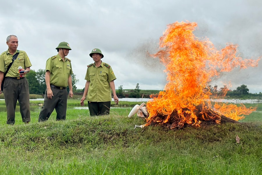 Hà Tĩnh: Phá bẫy để bảo vệ chim trời trước mùa di trú tránh bão