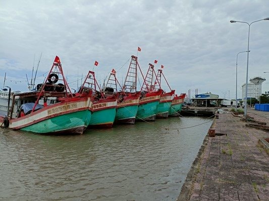 Cà Mau khẩn trương thực hiện các biện pháp chống khai thác IUU để làm việc với EC
