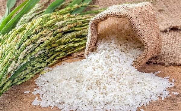 Giá gạo xuất khẩu của Việt Nam bắt đầu 'hạ nhiệt'