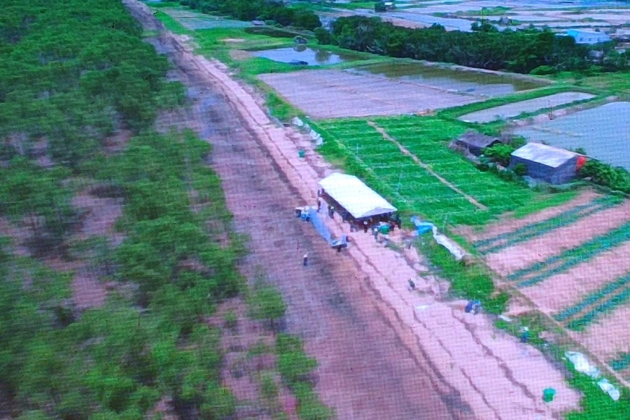Rừng ngập mặn - Bài 5: Thách thức trong việc phục hồi rừng ngập mặn ở ĐBSCL