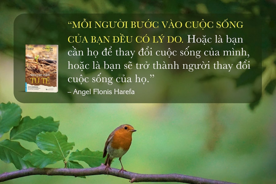 Hãy ‘Gieo hạt mầm tử tế’ và nuôi dưỡng ‘Những chồi non hy vọng’ 