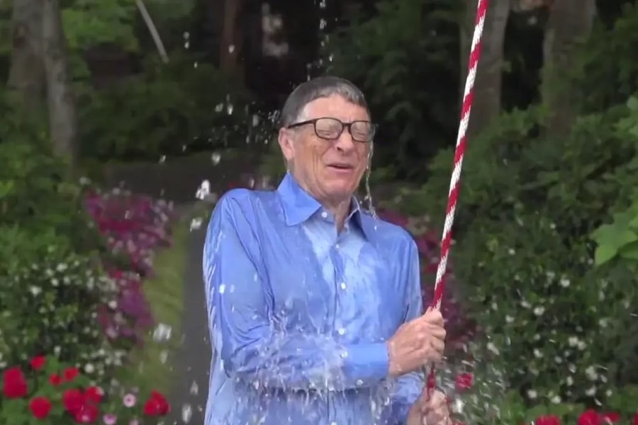 Vì sao Bill Gates và nhiều nhà khoa học phản đối việc ồ ạt trồng cây gây rừng?