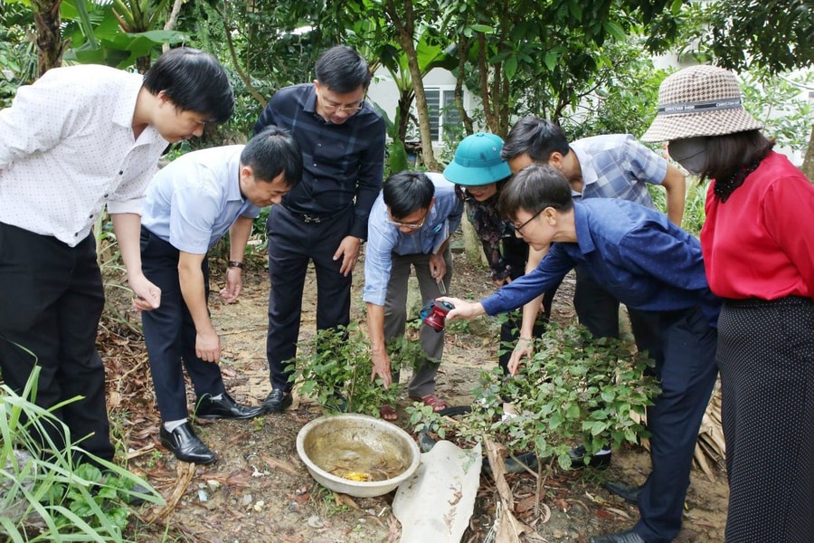 Xuất hiện sốt xuất huyết dengue tại Hà Tĩnh