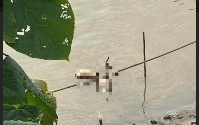 Khởi tố kẻ giết cô gái, phân xác phi tang xuống sông Hồng