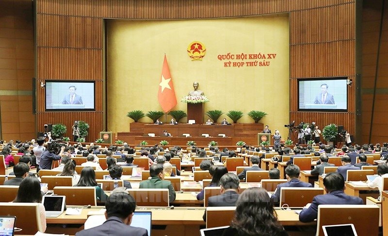 Cử tri TP.HCM gửi gắm nhiều tâm tư, nguyện vọng đến diễn đàn Quốc hội