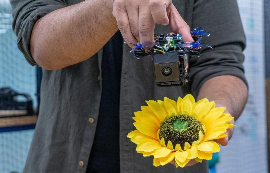 Ý tưởng nhỏ vĩ đại: Làm robot thay côn trùng cứu Trái đất và loài người