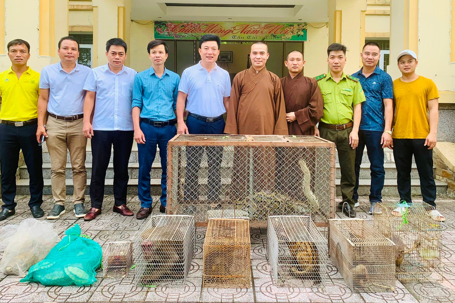 Vườn quốc gia Vũ Quang tiếp nhận nhiều cá thể động vật hoang dã quý hiếm