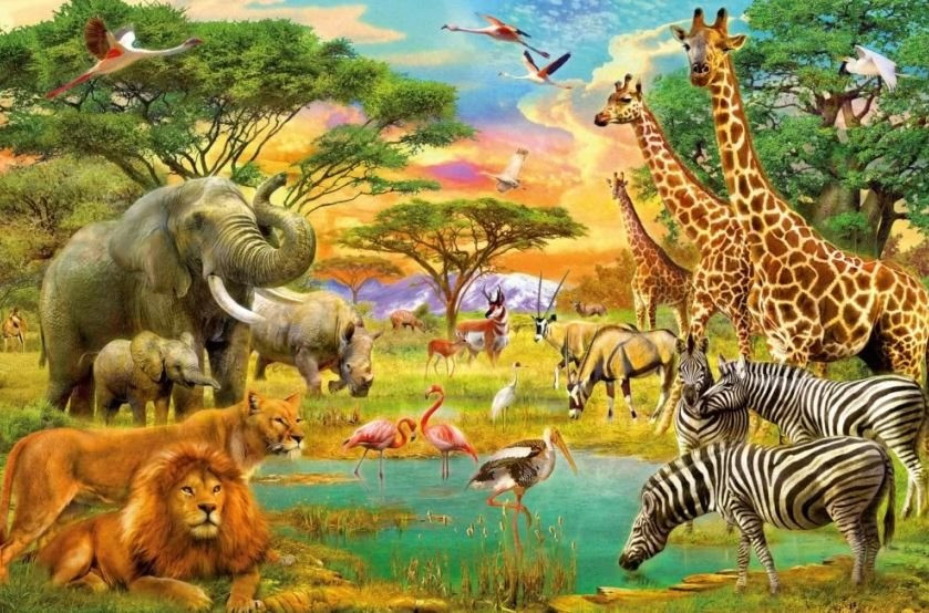 Vai trò vận chuyển mầm sống của chim và thú trong biến đổi khí hậu
