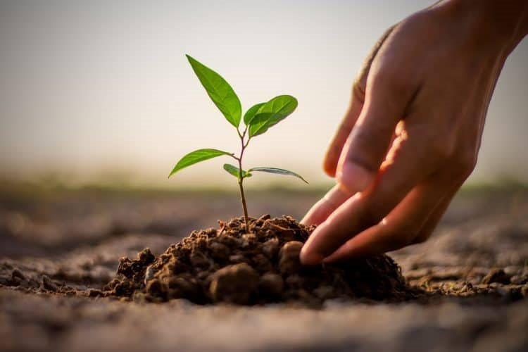Ngăn ngừa hành vi tự tử và tự hại trong cộng đồng thanh thiếu niên